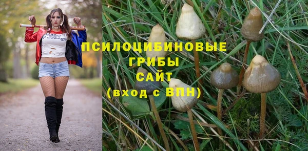 ГАЛЛЮЦИНОГЕННЫЕ ГРИБЫ Балабаново