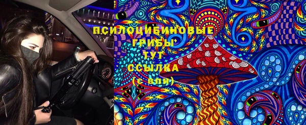 ГАЛЛЮЦИНОГЕННЫЕ ГРИБЫ Балабаново