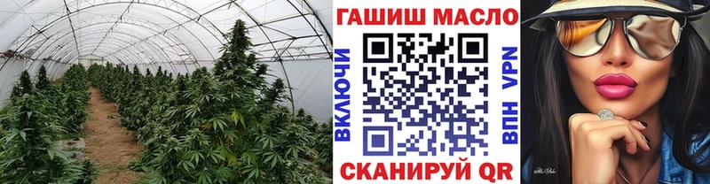ТГК вейп Октябрьск