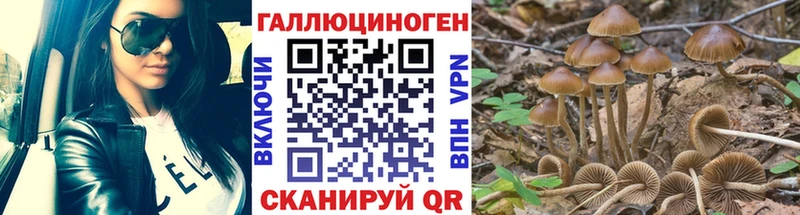 Псилоцибиновые грибы ЛСД  Октябрьск 